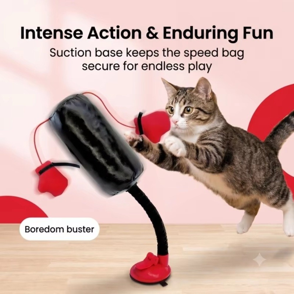 Zuignapvoet Kat Boksspeelgoed  - Boxing Bag Stand recensie en prijs