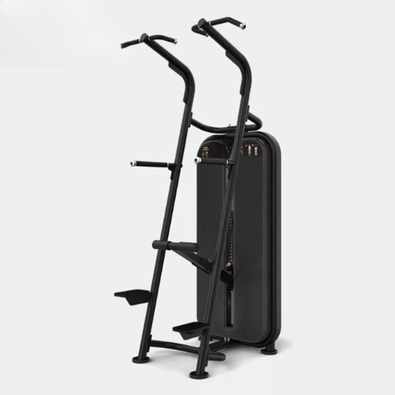 Assisted pull-up parallelle st - Home Gym Equipment Diy recensie en prijs