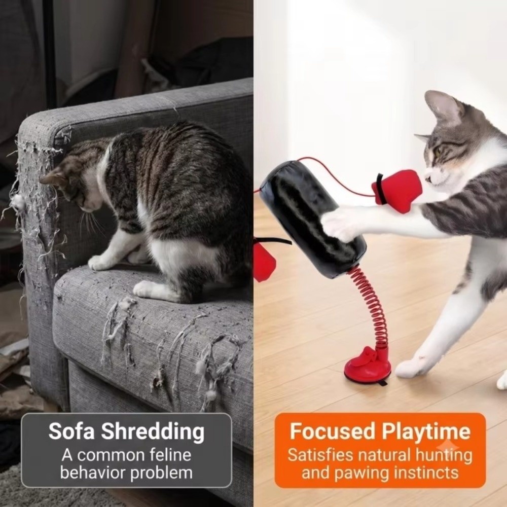 Zuignapbasis Kattenboksspeelgo - Boxing Bag Stand recensie en prijs